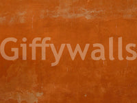 Roman Sall wall mural with subtle crackled plaster detail