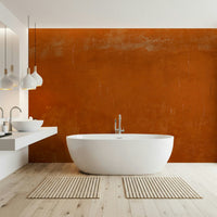 Rustic Roman Sall wall mural in rich clay orange tones