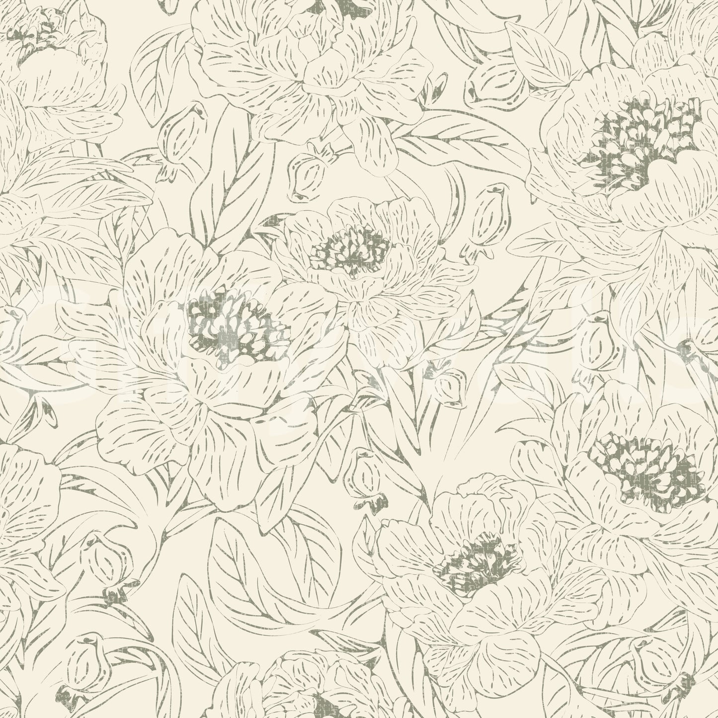 Romantiske Peonies Line Art Green Wallpaper⁠