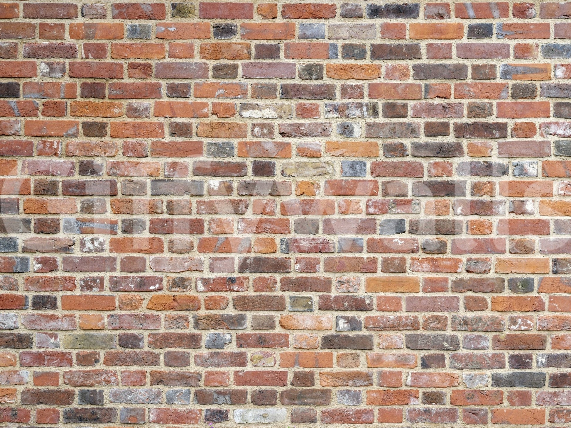 Industrial-style brick mural for adding character to your home.

