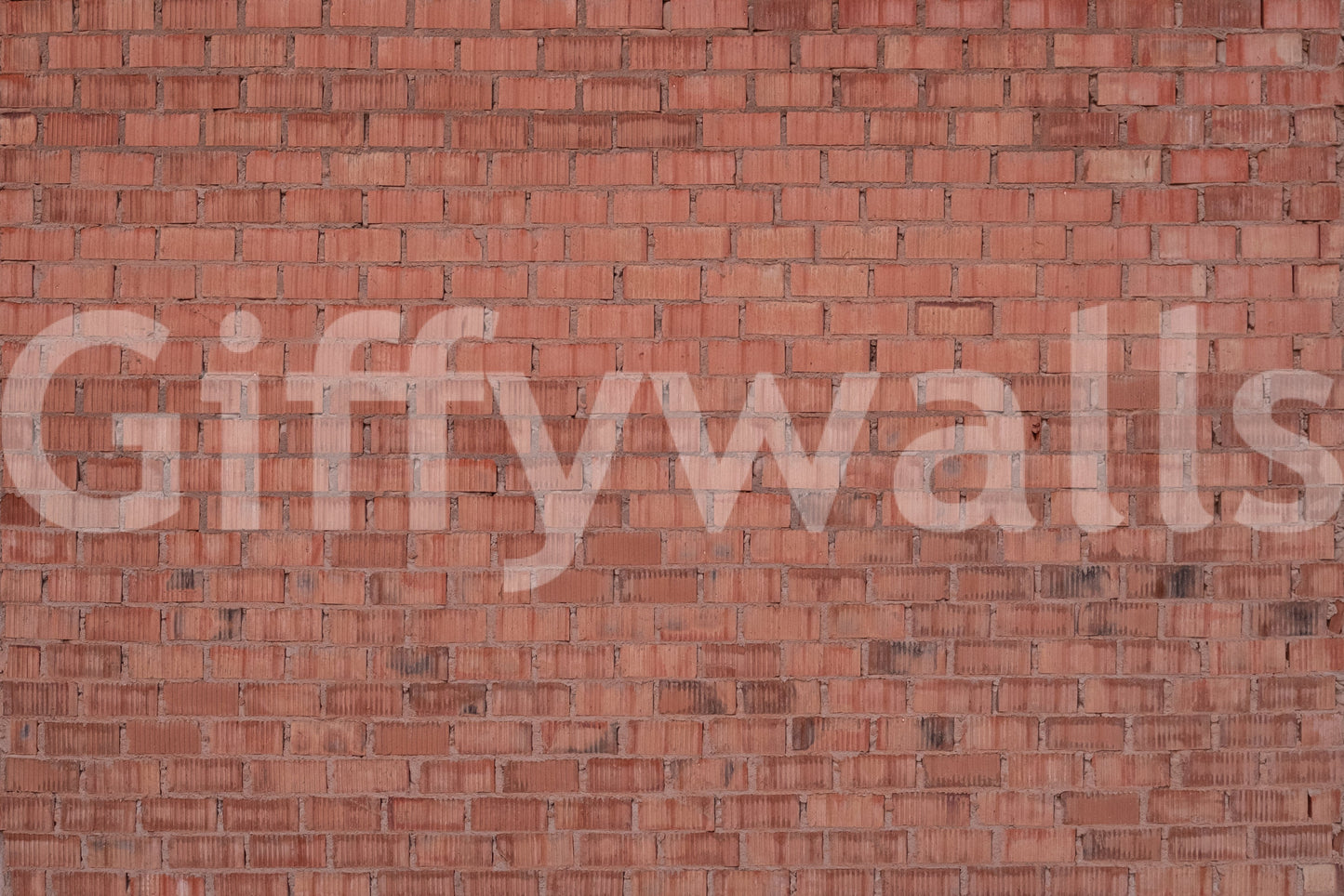 Worn Brick: Earthy Texture Wall Mural