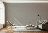 Weathered wall mural with natural imperfections and warm tones for authentic rustic charm.