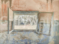 Rustic Window Wall Mural