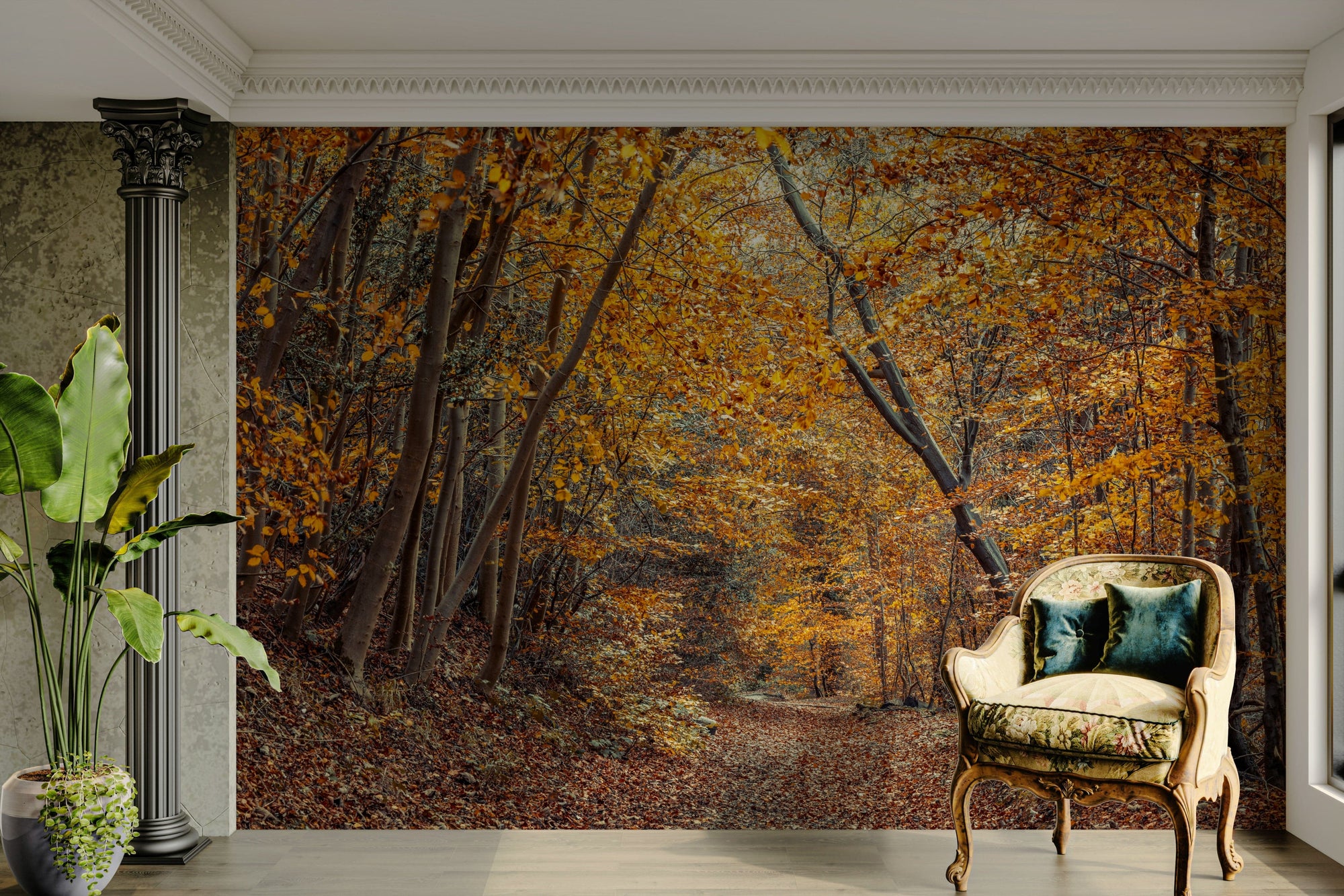 Scenic Woodland Path in Fall wallpaper mural of golden autumn trees behind an ornate cream armchair with teal pillows