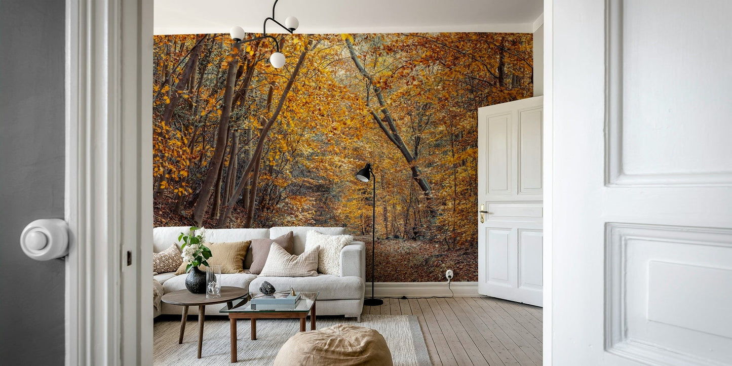 Scenic Woodland Path in Fall Wall Mural