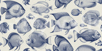 Coastal-themed wallpaper with marine fish drawings

