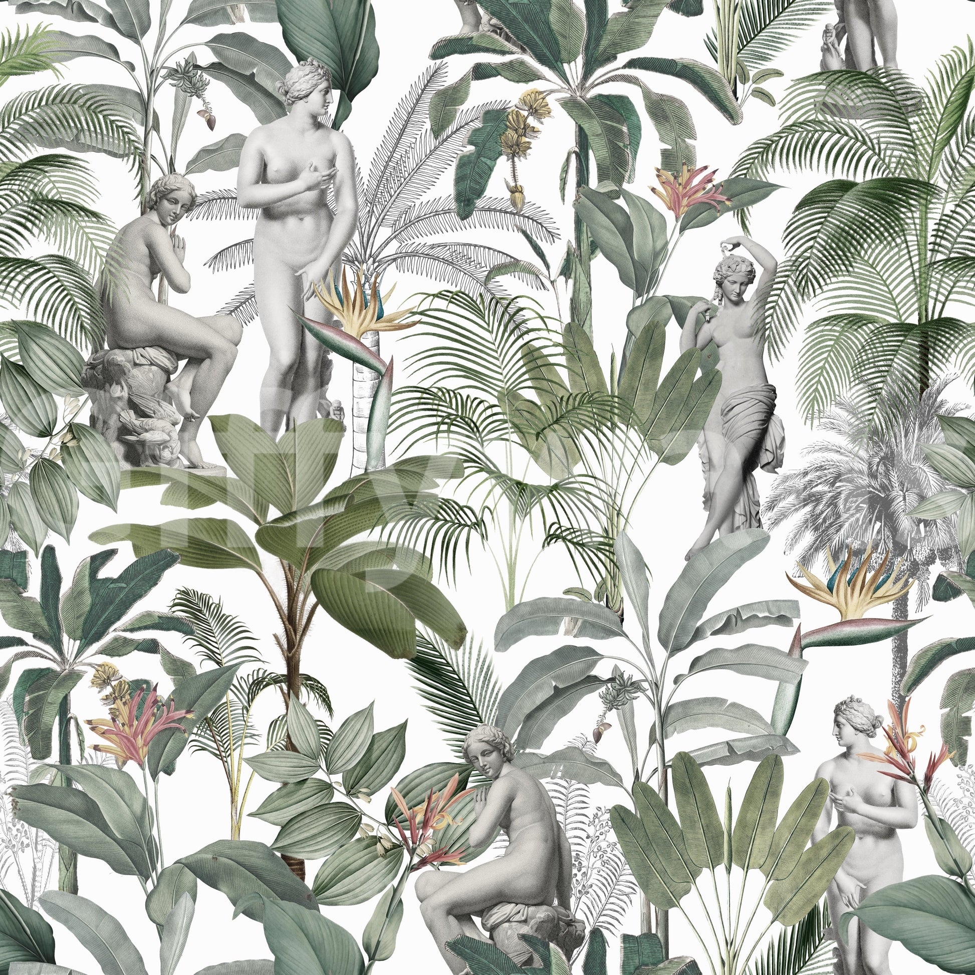 Sculptural Tropics wallpaper offering a chic, nature-inspired design

