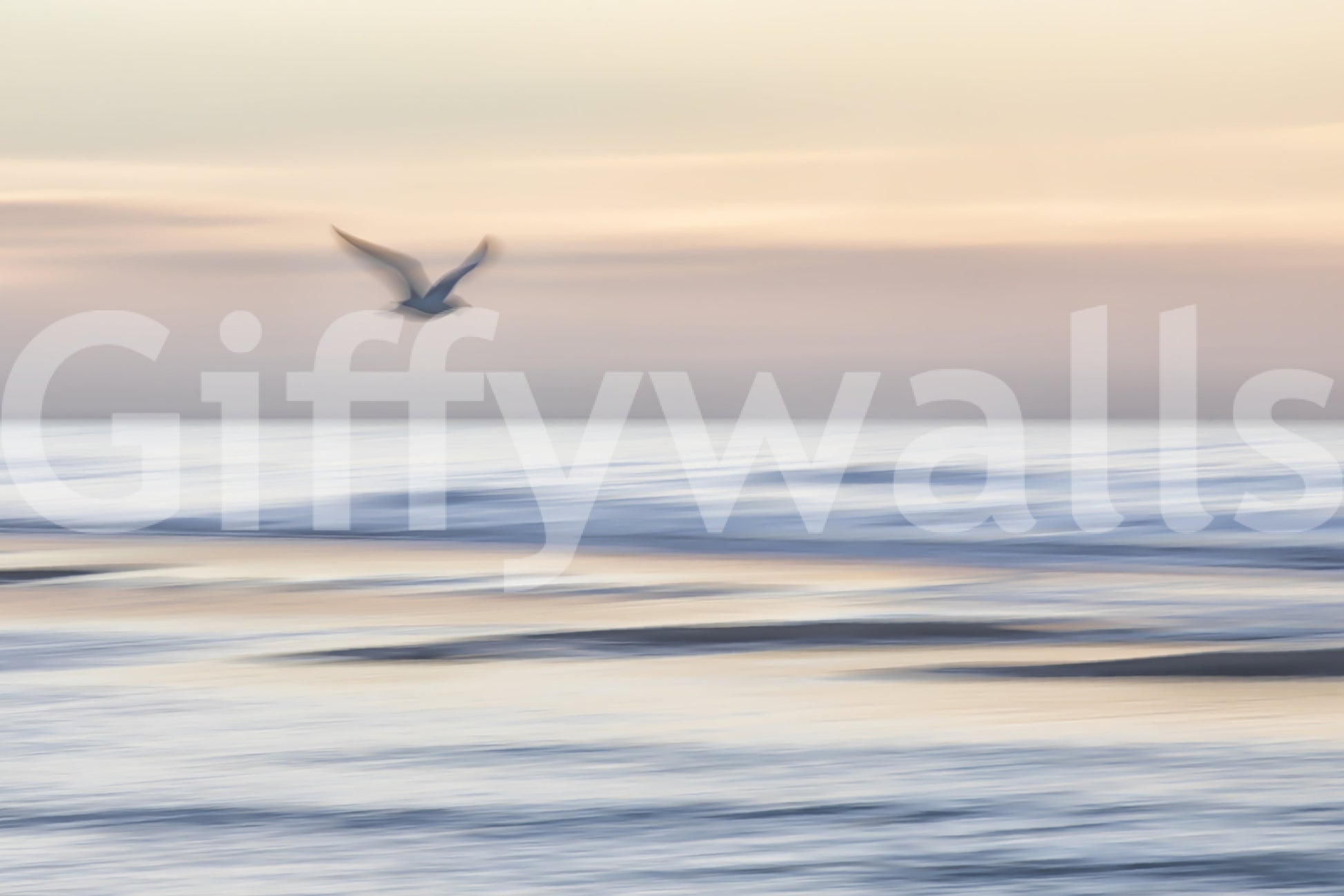 Seagull's Flight Wall Mural in entryway, modern console table, light sky backdrop