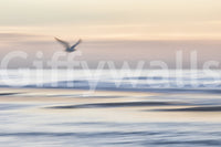 Seagull's Flight Wall Mural in entryway, modern console table, light sky backdrop