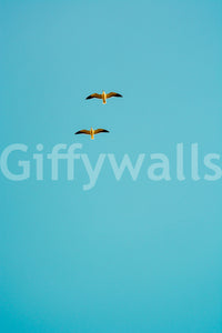 The wallpaper for walls being admired in a home.

