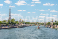 Seine Reflections Wall Mural