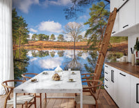 Serene Beauty of Nature Wall Mural