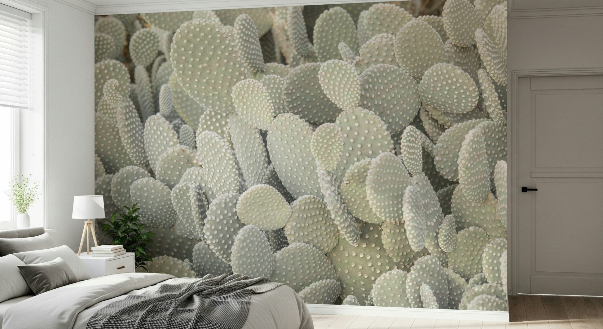 Serene Cactus Cluster Wall Mural