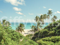 Nature-inspired tropical coastal beach vista for wall decoration