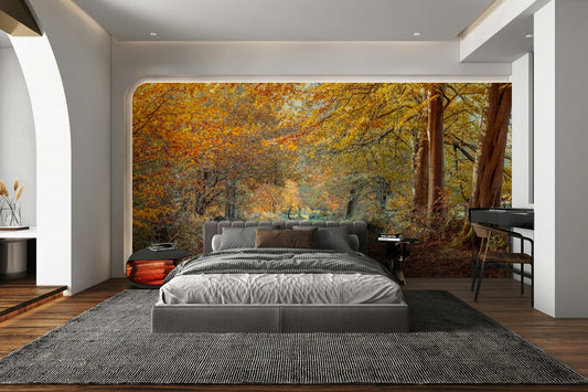 Serene Fall peaceful forest wallpaper

