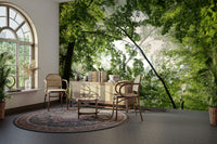 Nature photography print of lush green treetops.

