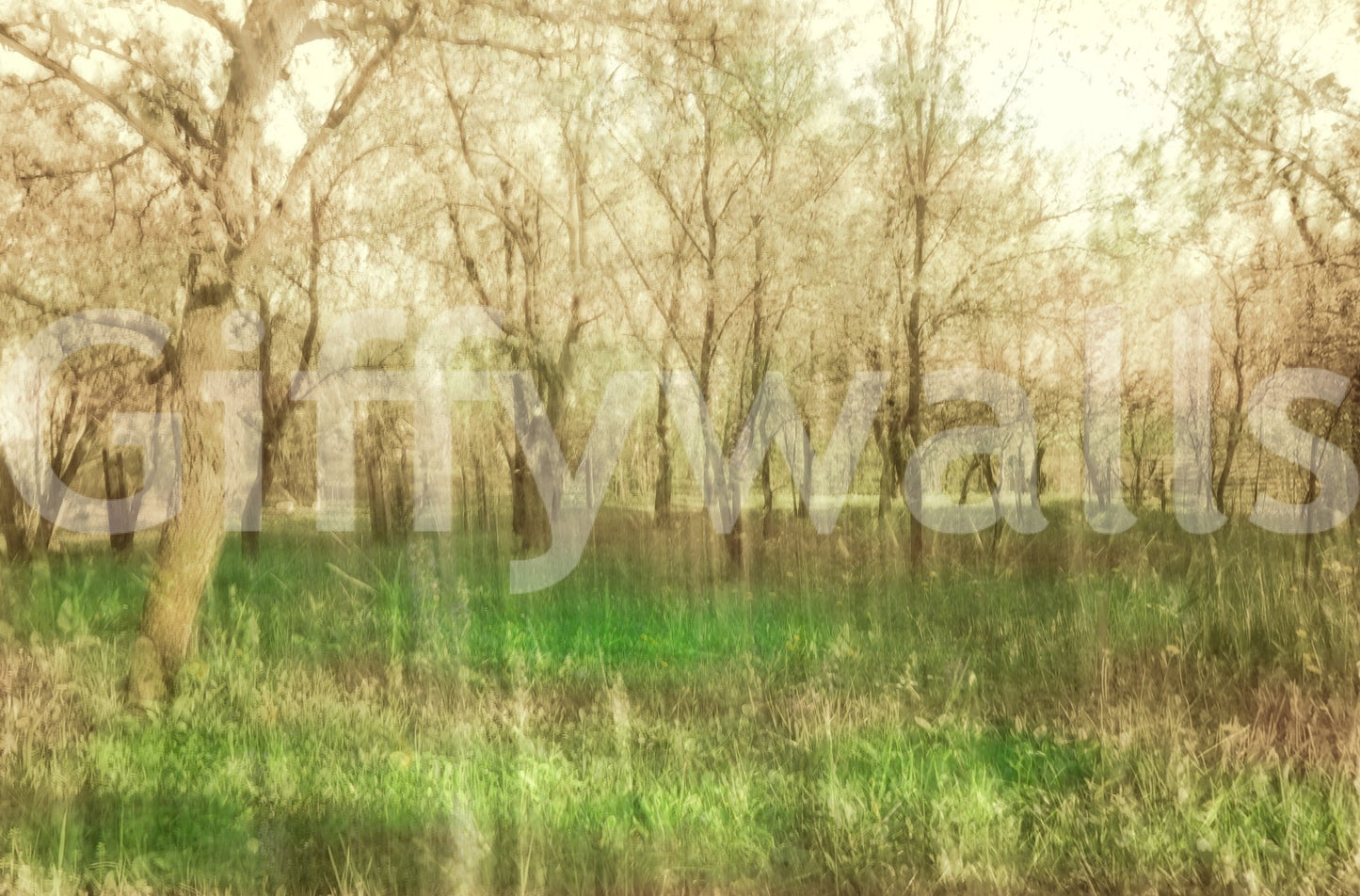Natural forest photography wall mural
