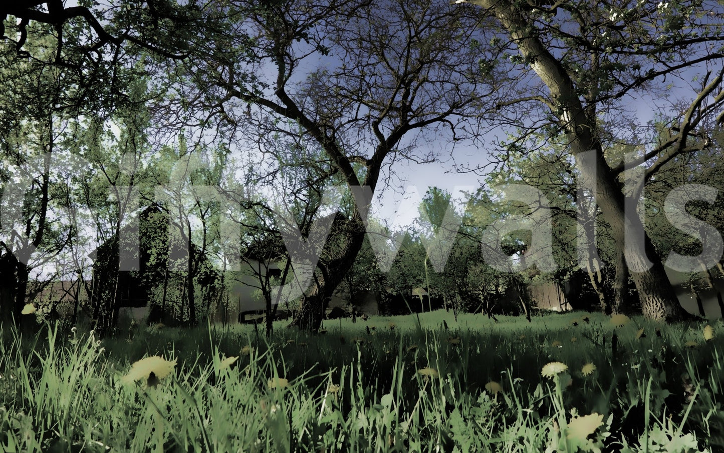 Pathways or clearings within a forest.

