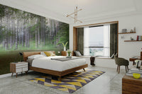 Soft sunlight filtering through the leaves
