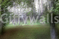 An expansive view of natural beauty
