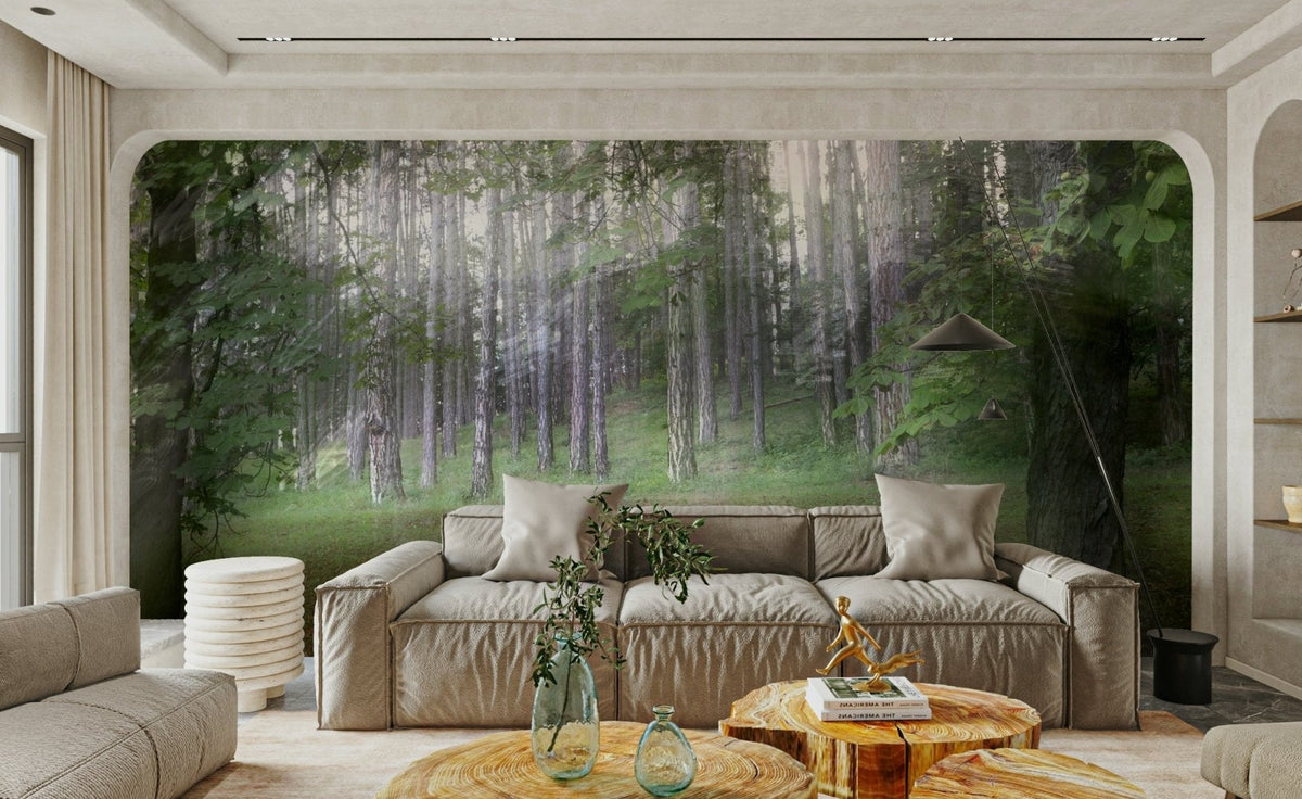 A wide shot of a peaceful forest
