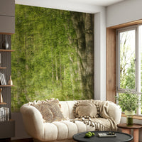 Brings the beauty of the outdoors indoors.

