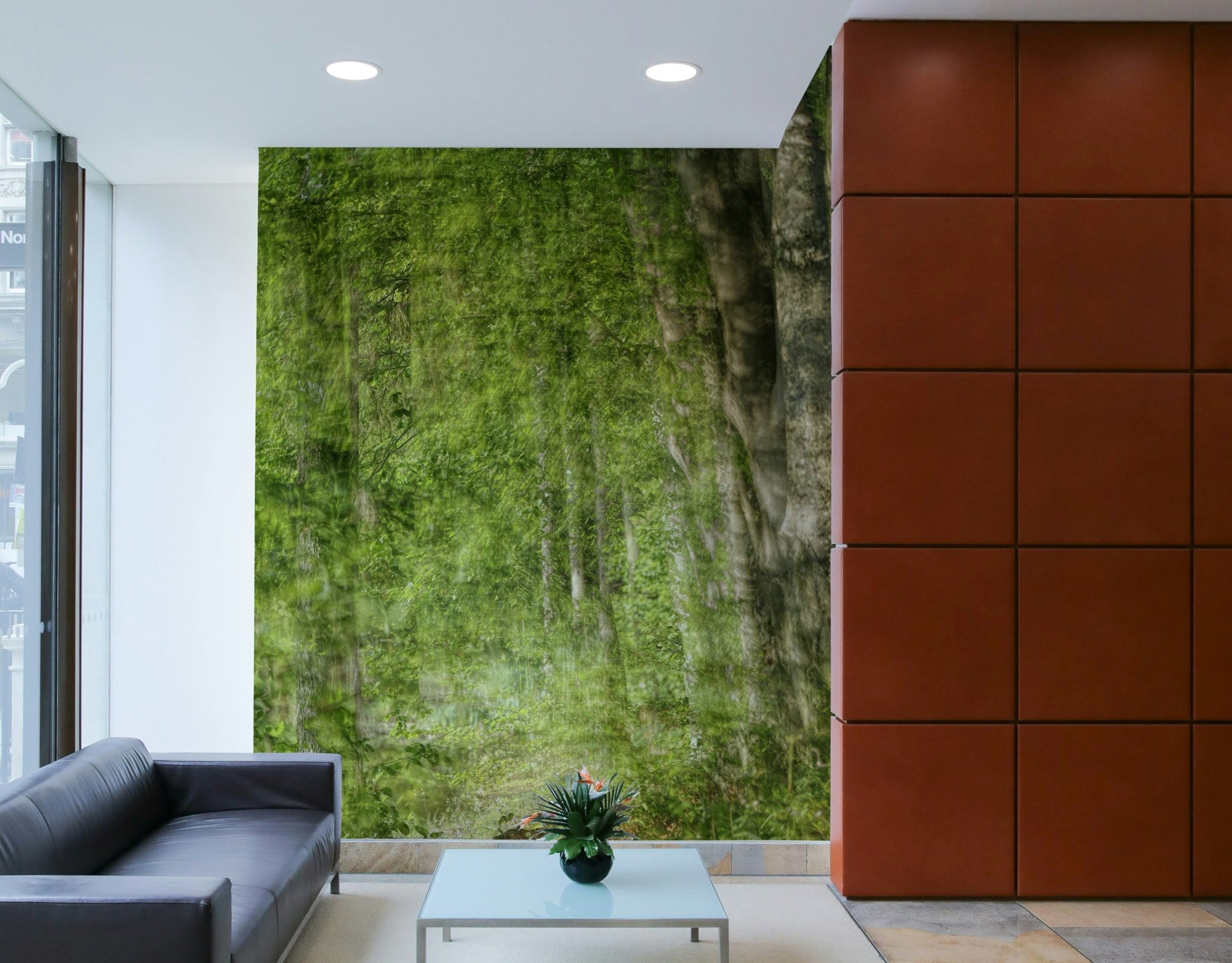 Nature photography print of a serene woodland scene.

