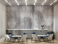 A beautiful serene sky wallpaper mural with gray clouds.

