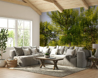 Lush trees with soft light wallpaper
