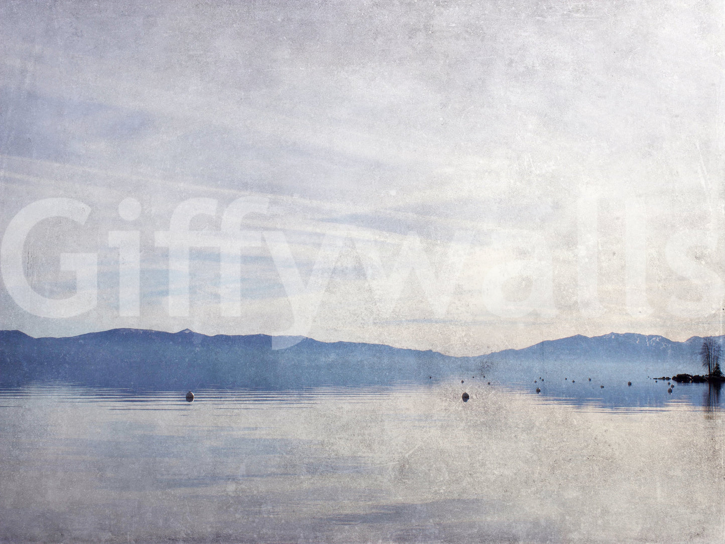 Serene Lake Vista Wall Mural -2671436