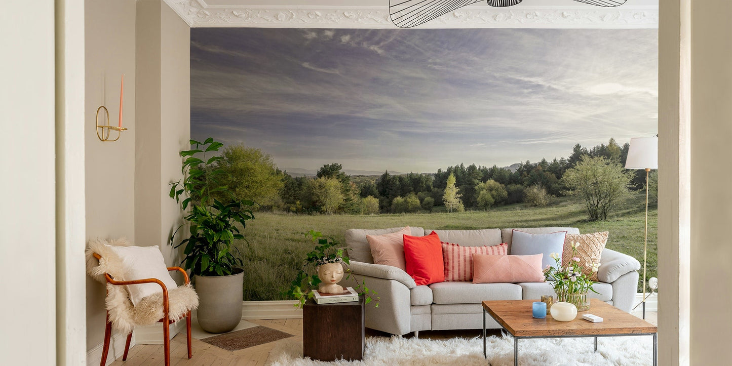 Tranquil and calming outdoor scene.

