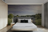 Serene landscape photography with trees.

