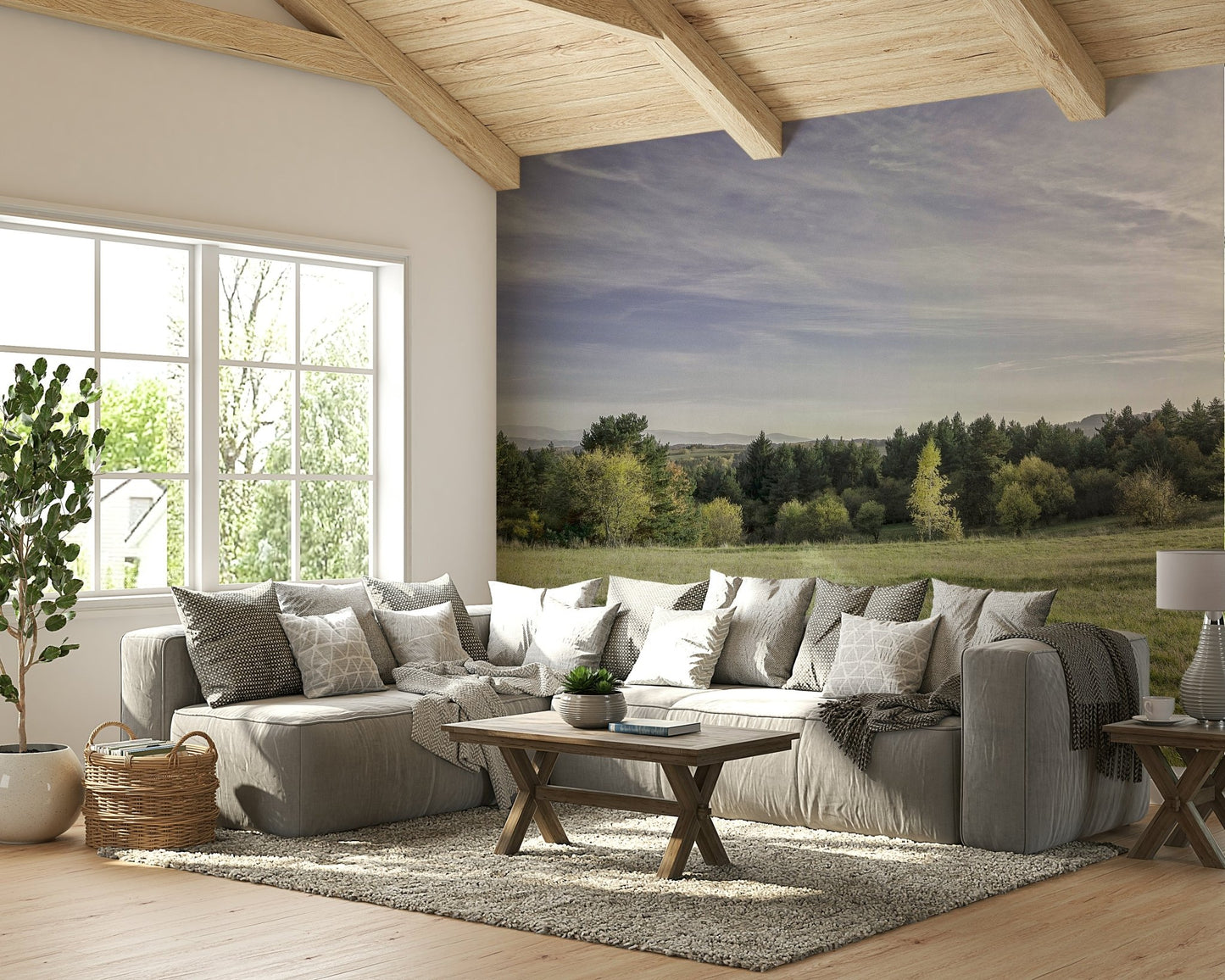 Distant trees forming a soft horizon line.

