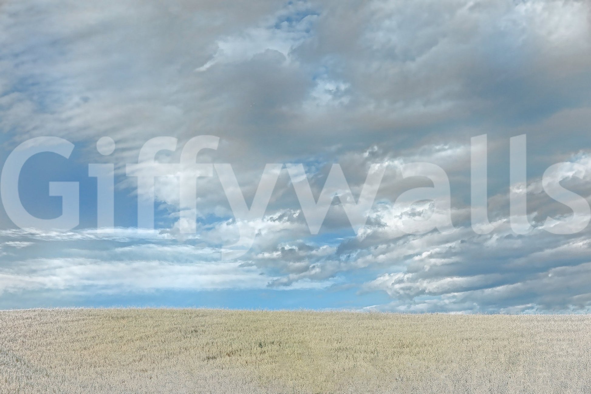 Expressive sky and land mural
