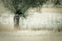 A high-quality minimalist wall mural for walls.