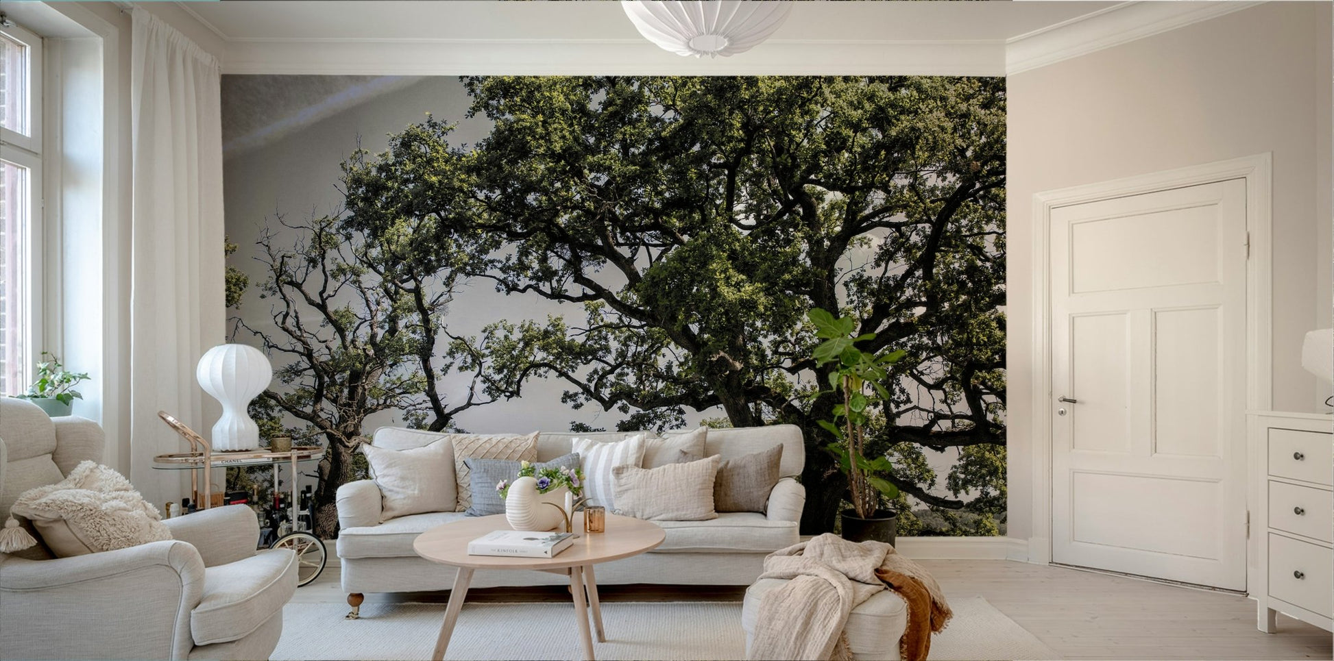 Open sky and trees mural design
