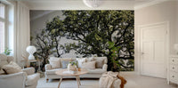 Open sky and trees mural design
