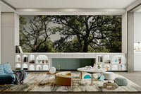 Quiet oak tree scene wallpaper
