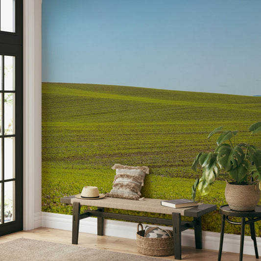 Spring countryside mural wallpaper

