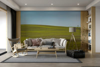 Light countryside scene mural

