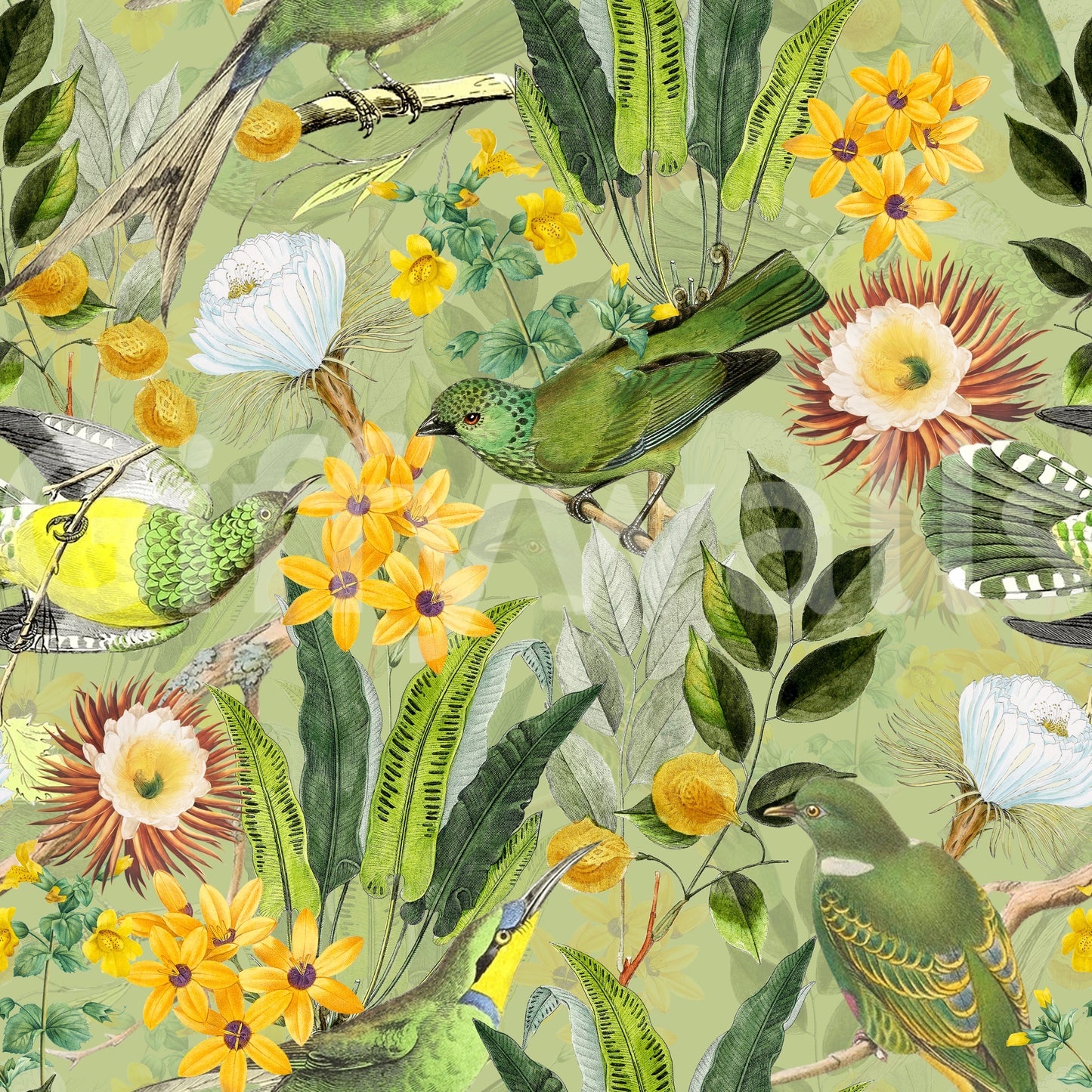 Serene tropical bird wallpaper for relaxing home interiors

