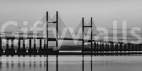 Severn Bridge Wall Mural