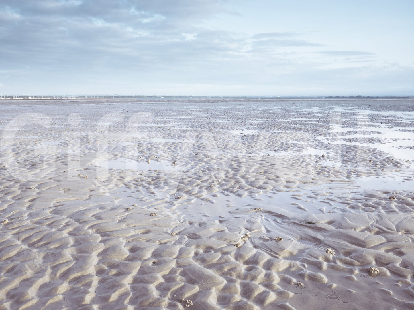 Shoreline Serenity Wall Mural