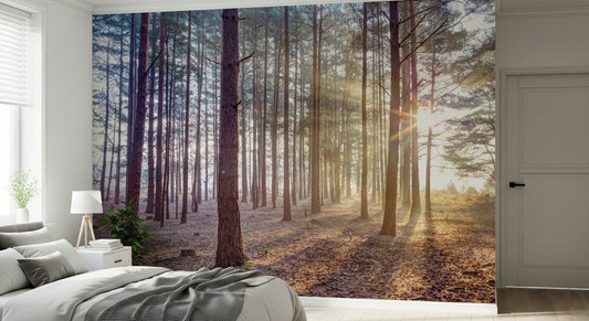 Shrouded in Mystery Wall Mural