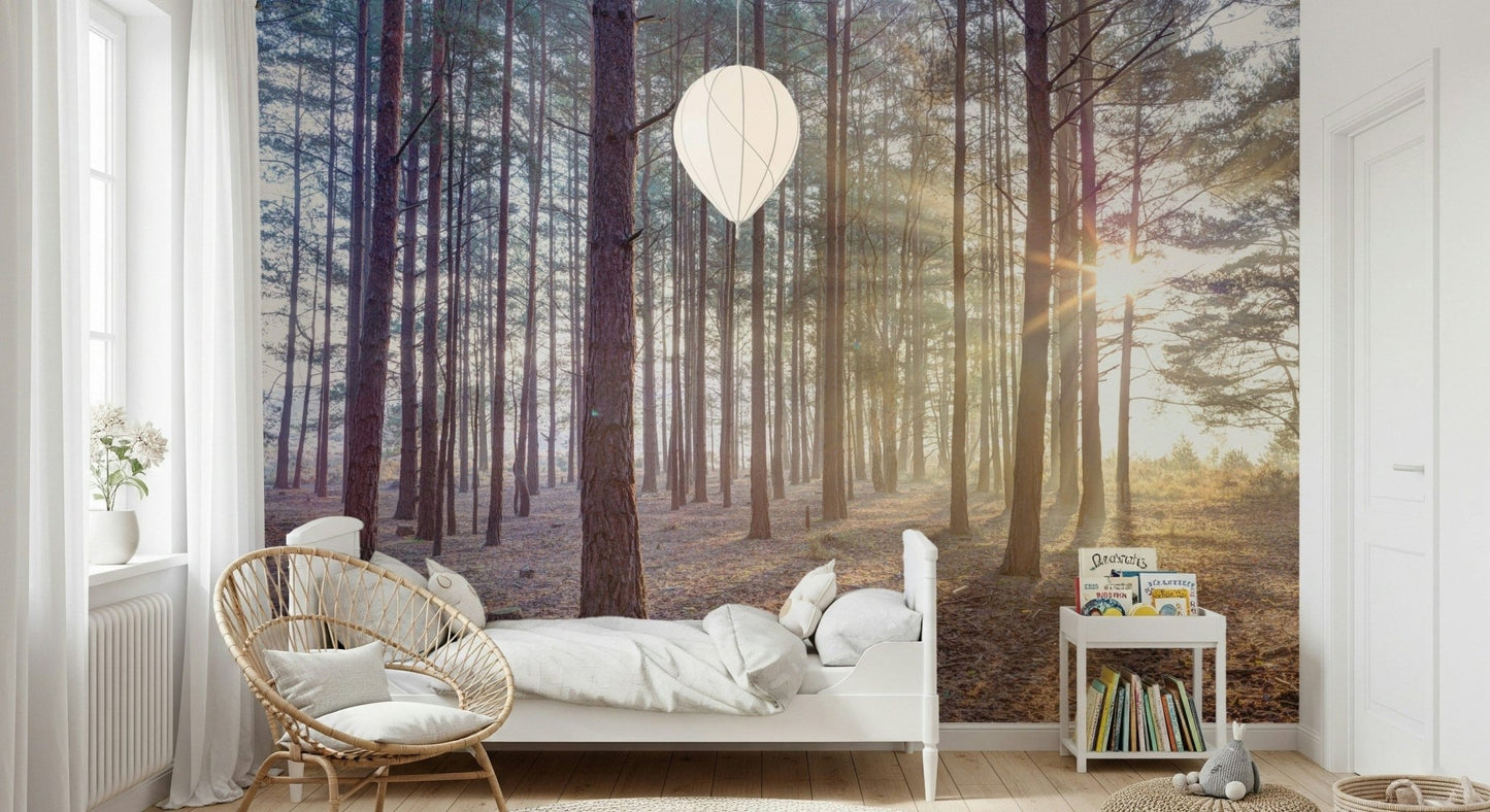 Shrouded in Mystery Wall Mural