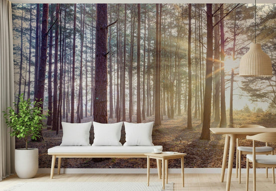 Shrouded in Mystery wallpaper mural of glowing pine trees behind a wood bench with white cushions in an entryway