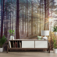 Shrouded in Mystery Wall Mural