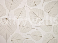 Skeletal Leaves Wall Mural