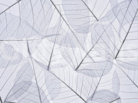 Elegant leaf texture wall mural in white