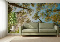 Ceiling wallpaper with treetops in kids room, fresh green nature look
